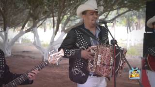 Los Alameños De La Sierra  El Burrero Culon En Vivo [upl. by Arbma872]