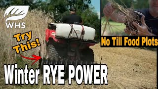 No Till Winter Rye Food Plots [upl. by Nraa799]