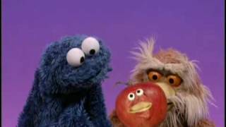 Sesame Street  quotA Cookie is a Sometime Foodquot [upl. by Tracay662]