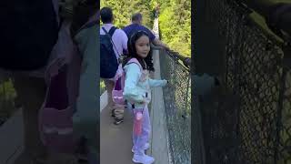 Capilano Suspension Bridge Park Vancouver Canada [upl. by Sidras]