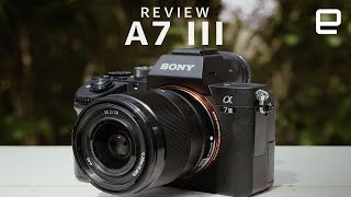 Sony A7 III Review [upl. by Romilly]