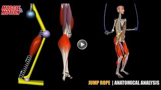 Jump Rope  Anatomical Analysis  Active Muscles [upl. by Igor717]