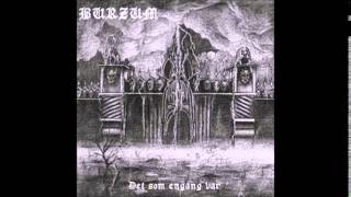 Burzum  Det som engang var Full Album1993 [upl. by Koerlin233]