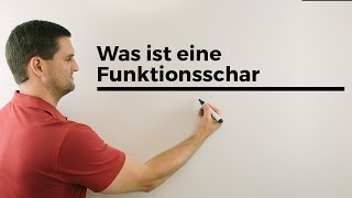 Was ist eine Funktionsschar Teil 1 Parameterfunktion Kurvenschar  Mathe by Daniel Jung [upl. by Galen]