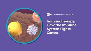 Immunotherapy How the Immune System Fights Cancer [upl. by Eilac515]