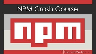 NPM Crash Course [upl. by Deerc]