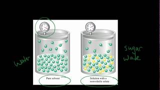 Vapor Pressure lowering  Explaining Raoults Law [upl. by Sana]