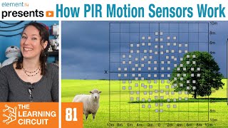 How PIR Motion Sensors Work  The Learning Circuit [upl. by Walt]