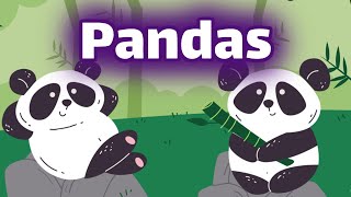 Pandas for Kids  Homeschool Pop [upl. by Accem]