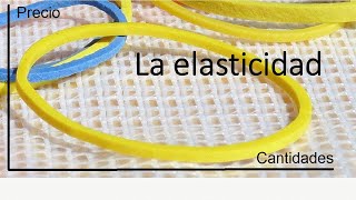 ¿Qué es elasticidad en economía [upl. by Bartlett565]