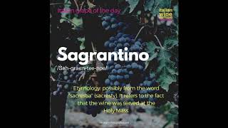 Sagrantino [upl. by Fairman]