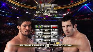 Tomasz Drwal vs Rousimar Palhares [upl. by Githens674]