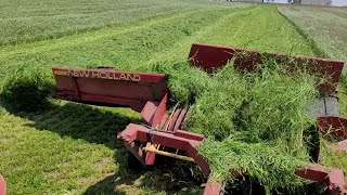 Farmer Talks  Rye vs Ryegrass [upl. by Cilegna]