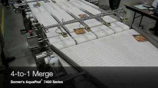 4to1 Packaging Conveyor Merge [upl. by Eirrehc]