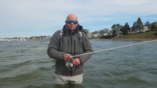 60 Second HowTo Simple Shore Fishing for Striped Bass [upl. by Aneleairam740]