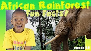 African Rainforest Facts  Kids Black History [upl. by Earahs]