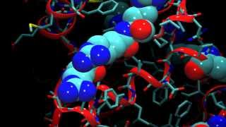 An Introduction to Molecular Dynamics [upl. by Lorant]