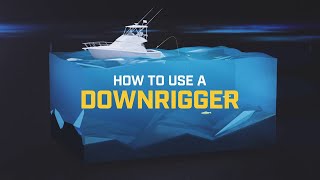 How to Use a Downrigger [upl. by Storfer]