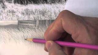 More Helpful Tips For Drawing Realistic Grass [upl. by Loredana]