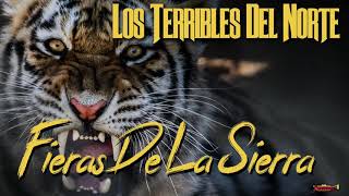 Los Terribles Del Norte  Corrido Fieras De La Sierra Audio Oficial [upl. by Notgnimer]