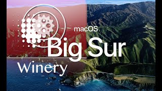 Run Windows App under MacOs big sur by wineskin  2021 Mar Detailed [upl. by Neillij157]