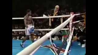 Pernell Whitaker vs Rafael Pineda [upl. by Tudela]