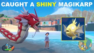 SHINY HUNTING MAGIKARP in Pokemon Scarlet [upl. by Leinnad]