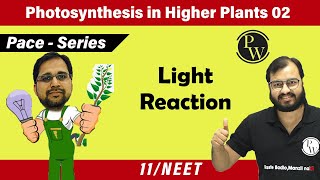 Photosynthesis in Higher Plants 02  Light Reaction I Class 11 l Pace Series [upl. by Nevaeh]