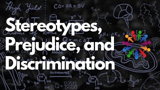 Whats the Difference Between Stereotypes Prejudice and Discrimination  MCAT [upl. by Fransen]