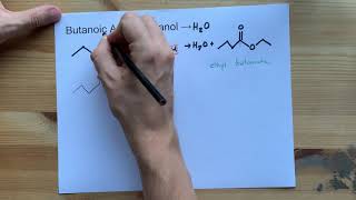 Butanoic Acid  Ethanol  Ester Reaction with Mechanism [upl. by Assille]