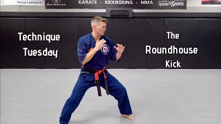 Technique Tuesday  How To The Roundhouse Kick [upl. by Clinton]