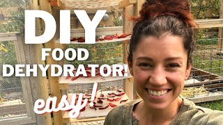 Our DIY Solar FOOD DEHYDRATOR  Homemade Dehydrator [upl. by Whitby198]