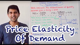 Y1 10 Price Elasticity of Demand  PED [upl. by Anegroeg748]