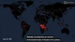 Map of Wildfires Around the World [upl. by Ogren599]