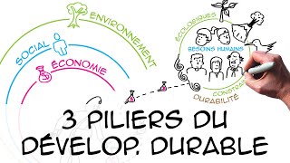 Les 3 piliers du développement durable regard scientifique [upl. by Ardnuassak]