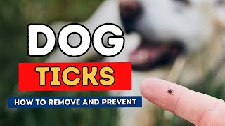 Dog Ticks How To Remove and Prevent [upl. by Yeldua]