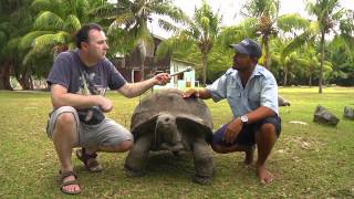 Giant tortoises of the Seychelles [upl. by Acire]