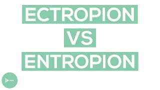 Ectropion vs Entropion  Whats the Difference [upl. by Jeanelle]