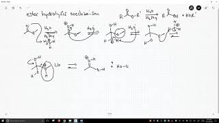 mechanism of ester hydrolysis [upl. by Hurff]