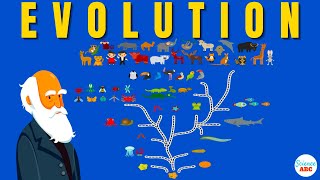 Darwins theory of Evolution A REALLY SIMPLE and Brief Explanation [upl. by Hulen491]