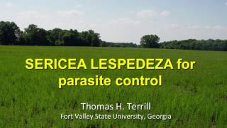 SERICEA LESPEDEZA for parasite controlTom Terrill [upl. by Marita]