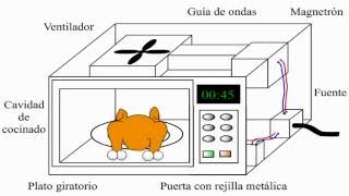 ¿Cómo funciona un horno de microondas  microwave [upl. by Grubb]