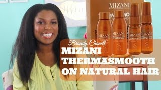 Mizani Thermasmooth System on Natural Hair [upl. by Neeleuqcaj457]