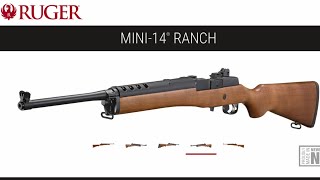 RUGER MINI14 RANCH review amp shooting [upl. by Eterg441]