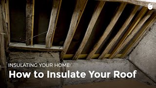 How to Insulate your Roof  Fuel Poverty [upl. by Bourgeois]