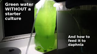 Green Water WITHOUT a Starter Culture  From Scratch  How To [upl. by Mcclish]