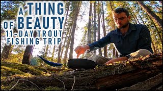 11Day Wilderness Trout Fishing Trip  Solo Camping amp Canoeing [upl. by Nnov937]