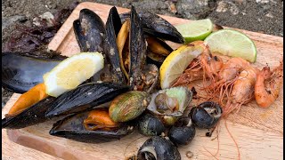 Coastal Foraging  Shellfish Beach Cook Up [upl. by Sarilda]