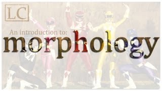 An Introduction to Morphology [upl. by Lody]