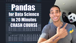 Pandas for Data Science in 20 Minutes  Python Crash Course [upl. by Dulsea769]